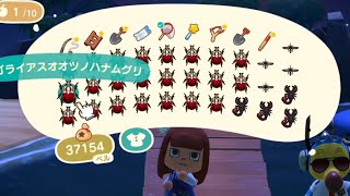 【あつ森】離島でゴライアスオオツノハナムグリを大量ゲットしましたｗｗｗ【あつまれどうぶつの森】【６月の虫】