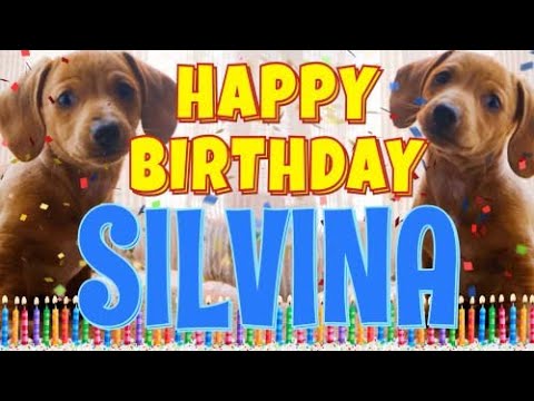 Happy Birthday Silvina! ( Funny Talking Dogs ) What Is Free On My Birthday