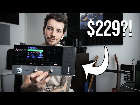 Matt Franceschini and Donner Review