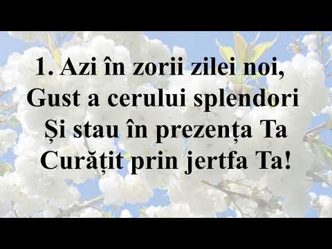 Duhul Sfânt (Interpretarea - Corul Pro Deum Arad)