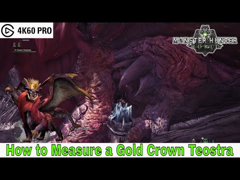 Monster Hunter: World - How to Measure a Gold Crown Teostra (Elder Recess) Video
