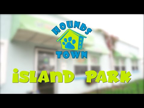 , title : 'Hounds Town USA Store Walkthrough - Island Park, NY