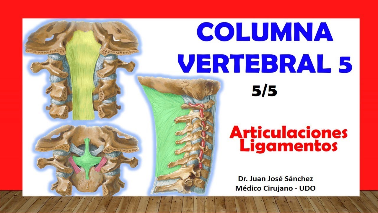 Watch 🥇 COLUMNA VERTEBRAL 5/5 - (Articulaciones y Ligamentos). Fácil y Sencillo Now 🥇 COLUMNA VERTEBRAL 5/5 - (Articulaciones y Ligamentos). Fácil y Sencillo