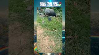 Download lagu BOMBA Mana Bomba #upinipin #bomba #meme #fypシ mp3