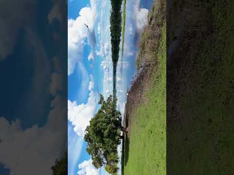 Parque Estadual de Corumbiara | Evolução Marketing