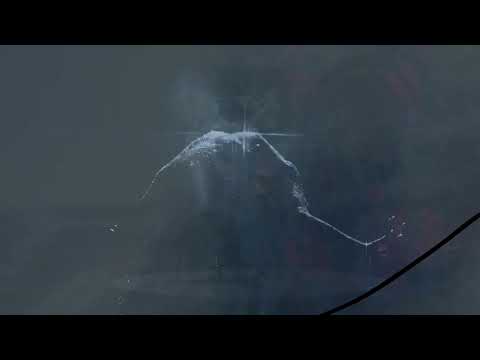 Bardia Salour -  APHRODITE (Bunte Kuh Records)