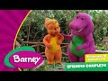 Barney Cuidados Completo