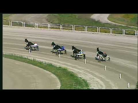 Napoli Trotto 13/11/2022 - prova di qualifica