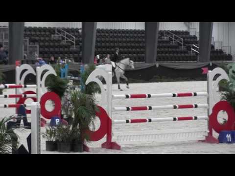 Video of QUESTA CAPRIOLE ridden by MACKENZIE B. SNIDER from ShowNet!