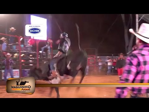 Waguinho Animal - Montarias Touro 03/10/2015