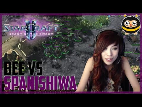 Livibee v Spanishiwa