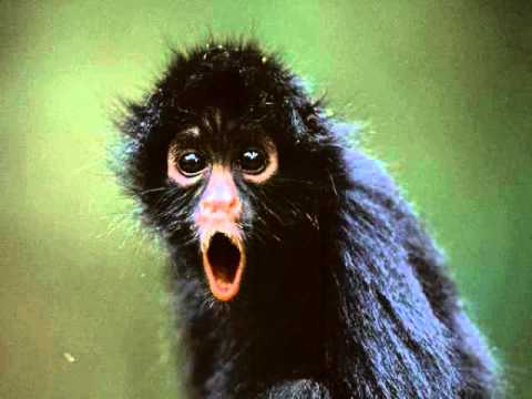 Soundmurderer and SK-1 - Bad Sound (High Quality)