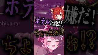 ぷてち「ホ別イチゴ」しんじ「新大久保かな？」　#橘ひなの #ぷてち #しんじさん #ぶいすぽっ #切り抜き #vtuber