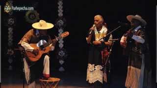preview picture of video 'Pirekua, Male Lichita. Interpretan Hermanos Dimas, de Ueámuo (Santa Fe de la Laguna)'