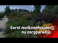 Met pensioen? Nee hoor, Thea (69) runt een zorgboerderij voor dementerenden