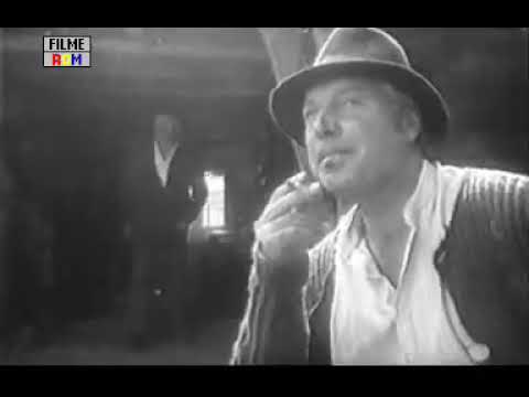 Morometii - Poiana lui Iocan