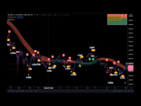 RayPulse Pro-Explainer Video