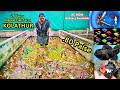 0 80 Paisa To Big Fish Aqua Farm Shop In Kolathur AM Aquarium With Price 100 Varieties