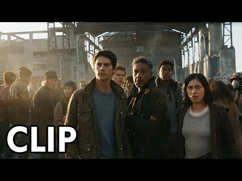 EL CORREDOR DEL LABERINTO: LA CURA MORTAL | Ya en cines