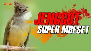 Download lagu MASTERAN CUCAK JENGGOT GACOR MATERI MBESET NEMBAK | AUDIO JERNIH mp3 Download lagu MASTERAN CUCAK JENGGOT GACOR MATERI MBESET NEMBAK | AUDIO JERNIH mp3