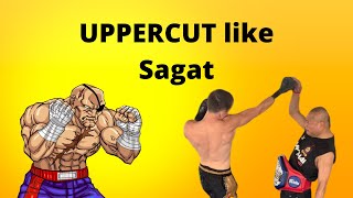 “Street Fighter” Sagat’s Uppercut and Body Shot Technique