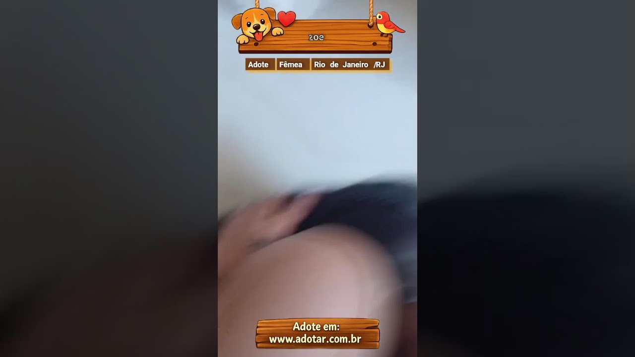 Cachorro raça SRD-ViraLata idade 7 a 11 meses nome zoe 