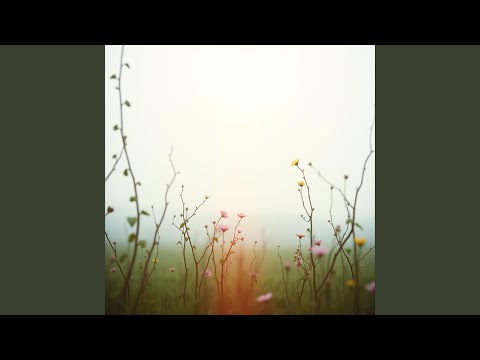 Hino 519 da Harpa Cristã Achei Jesus Meu Salvador