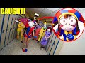 I CAUGHT ALL DIGITAL CIRCUS CHARACTERS AT SCHOOL IN REAL LIFE POMNI JAX CAINE RAGATHA KAUFMO