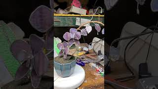 orchid! here's one you can't kill! #stainedglass #orchid #flowers #unkillable #houseplant