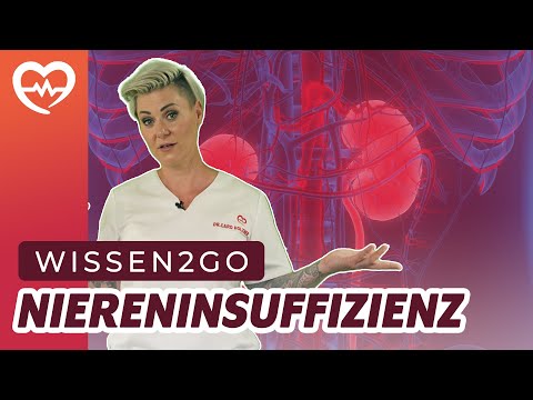 Renal Insufficiency - What's Behind It I Doc Caro