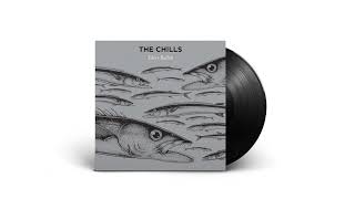 The Chills - Warm Waveform