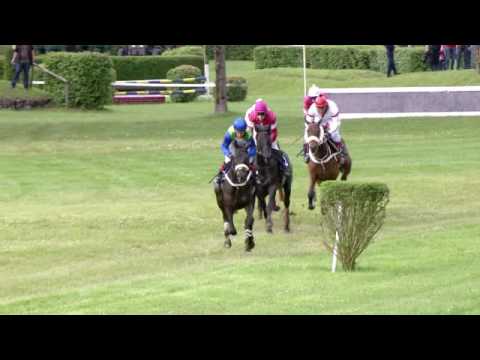 Aarau/14.05.2017/Preis Meiko Heimtierbedarf AG