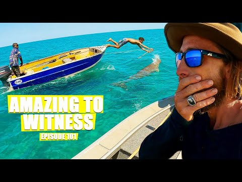 Catching the WILDEST aboriginal food in Australia and GIANT FISH