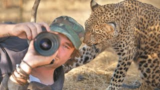 Quand les animaux interrompent les photographes de manière inattendue 🤪