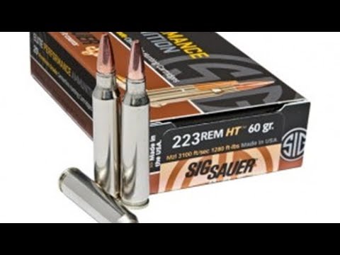 .243 And .30-06 Introduced To SIG SAUER’s Elite Hunting Ammo Line