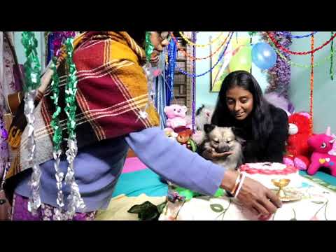 LuChi's Birthday Celebration Party VLOG ❤️