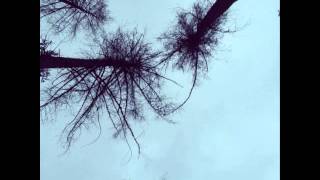 The Tallest Man On Earth - Into The Stream (cover)