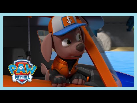 Stuck The River | Paw Patrol | Cartoons for kids | WildBrain Rescue Station