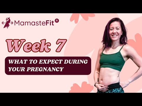 Week 7: What to Expect During Your Pregnancy + Gina's Pregnancy Journey!
