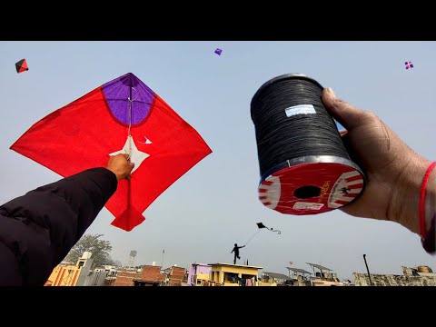 Kite Flying On Makar Sankranti 🪁 | Kite Cutting | Kite Fighting | Kite