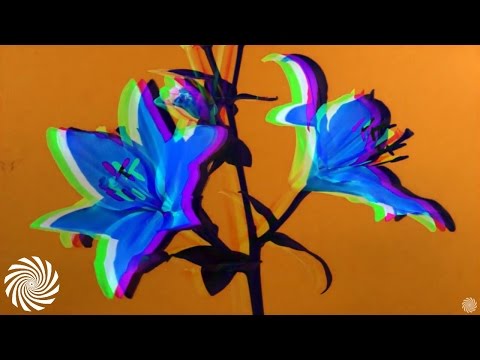 Rising Dust - My Fellow Flowers  [Psychedelic Visuals]