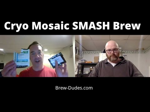 What Do Mosaic Cryo Hops Taste Like?  SMaSH Beer Experiment