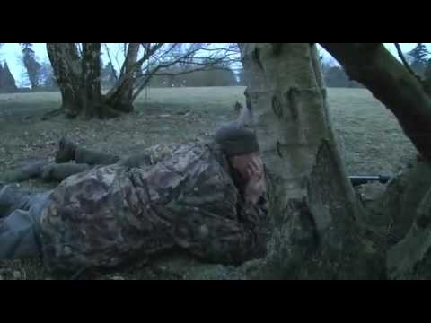 How to call foxes in daylight