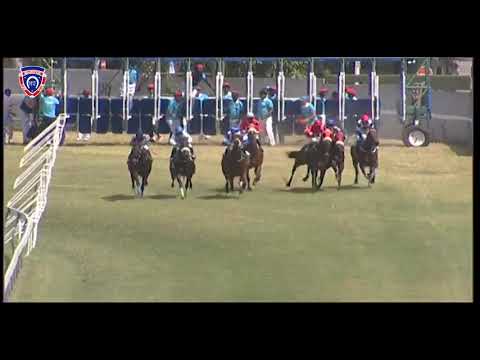 RM35 R4 | Rob Roy | D.David