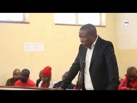 ‘It is not me, it is Mandela’s generation’ Malema on land grab statements
