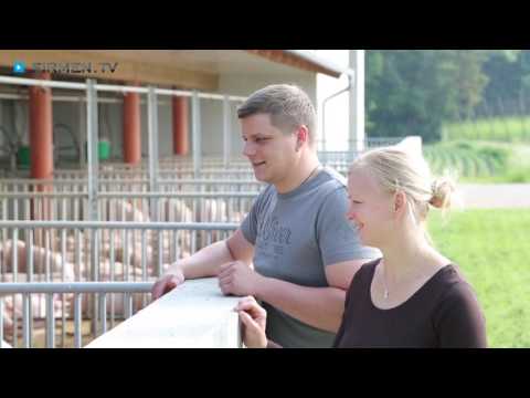 Metzgerei Prüfer & Schiffelholz in Reichertshofen - Fleischerei & Catering Pfaffenhofen an der Illm