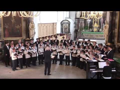 Victoria: Missa O quam gloriosum | Agnus Dei - Zurich Boys' Choir