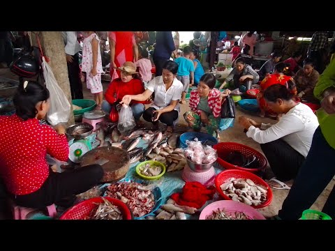 Praek Eng Market Food Show - Natural Living In Cambodian Market