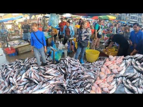 Amazing Fish Market @chbar Ampov Market Phnom Penh City  - So Delicious Fresh Fish, Seafood & More