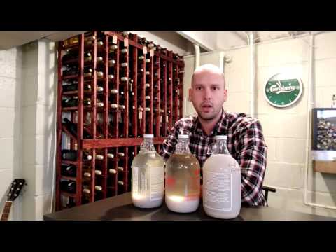 What is the Purpose of Pectic Enzyme?